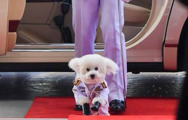 [♡] 내연녀랑 옆집 놀러갔는데 와이프 아니라고 개무시 당했어 어떻게 복수해? ㅠ | 인스티즈