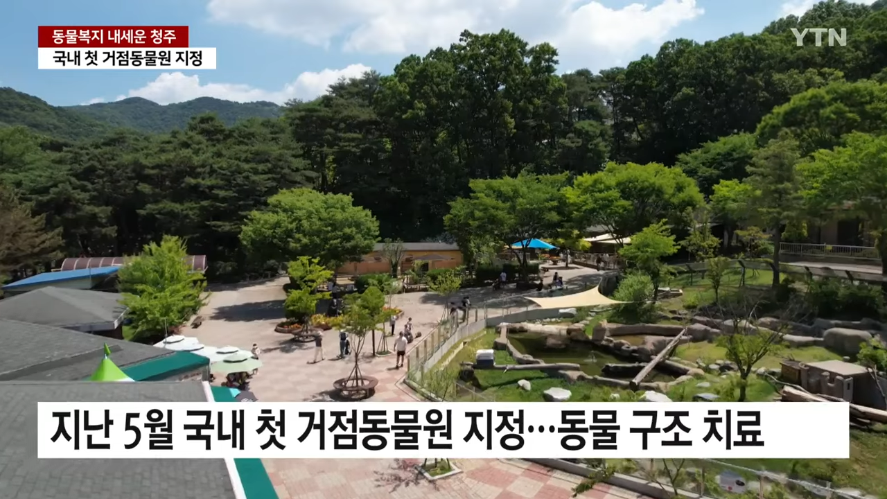 동물복지 내세우면서 관람객이 50% 증가한 청주 동물원 | 인스티즈