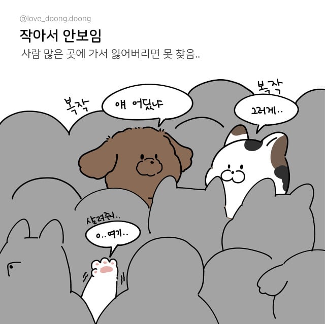 키 작은 애들 특징.jpg | 인스티즈