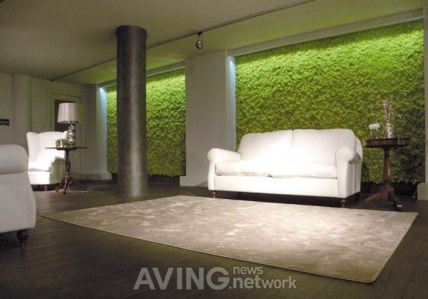 아니 누가 대체 이끼를 돈 주고 사서 인테리어 제품으로 씀?; | 인스티즈