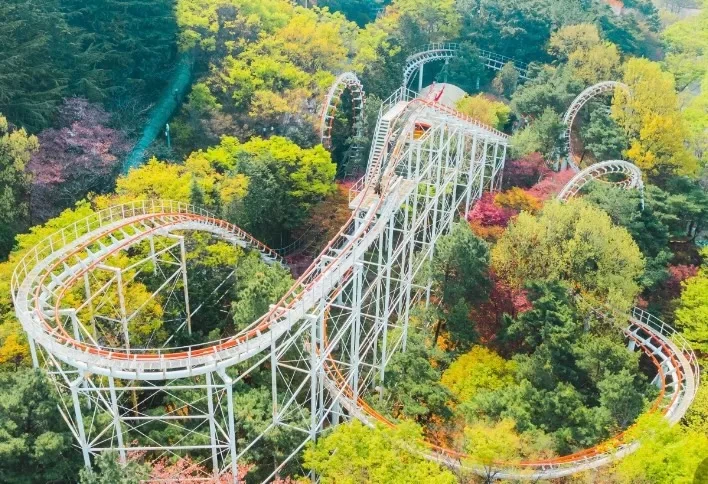 한국 3대 놀이공원 순위.JPG | 인스티즈