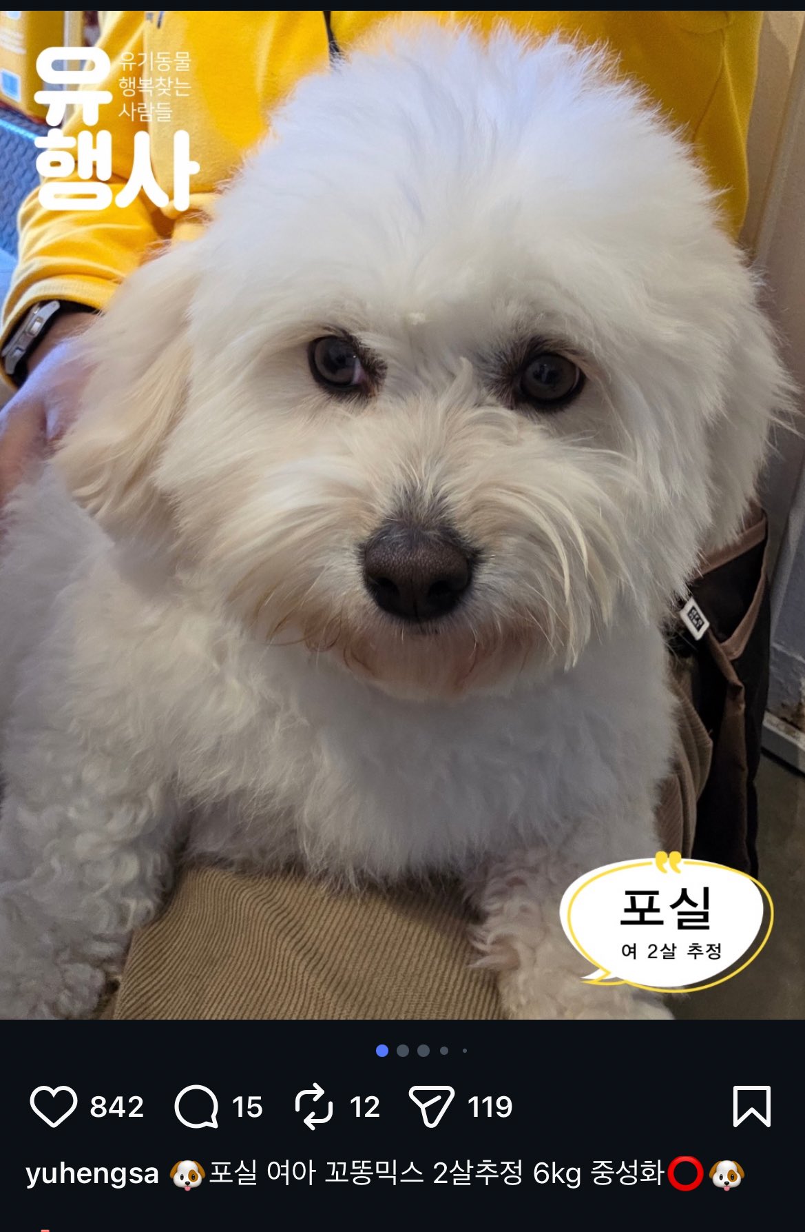 에휴 인간들 꼬동 버리기 시작했네;;.twt | 인스티즈