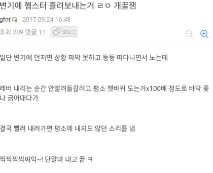 변기에 햄스터 흘려보내는거 ㄹㅇ 개꿀잼 | 인스티즈