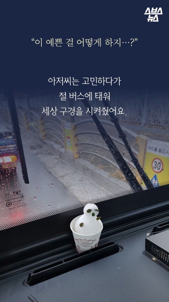 대구에서 제일 귀엽다는 버스기사.JPG | 인스티즈