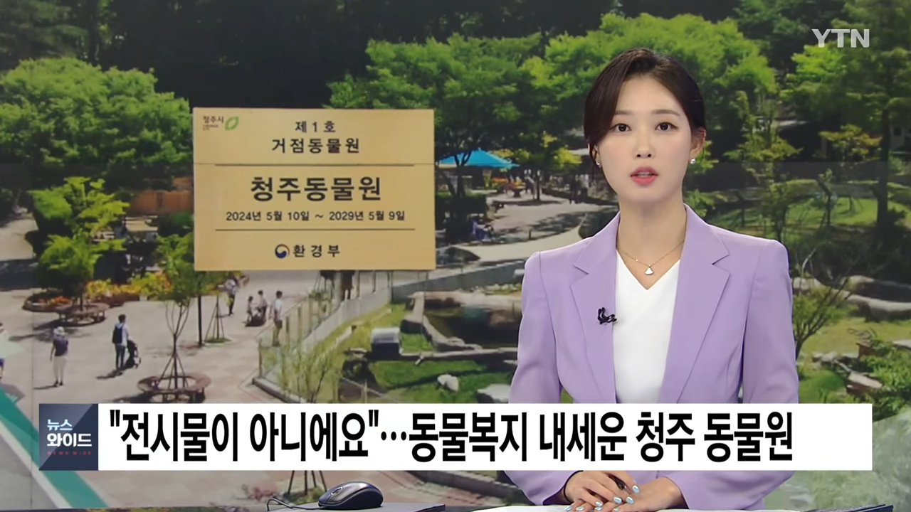 동물복지 내세우면서 관람객이 50% 증가한 청주 동물원 | 인스티즈