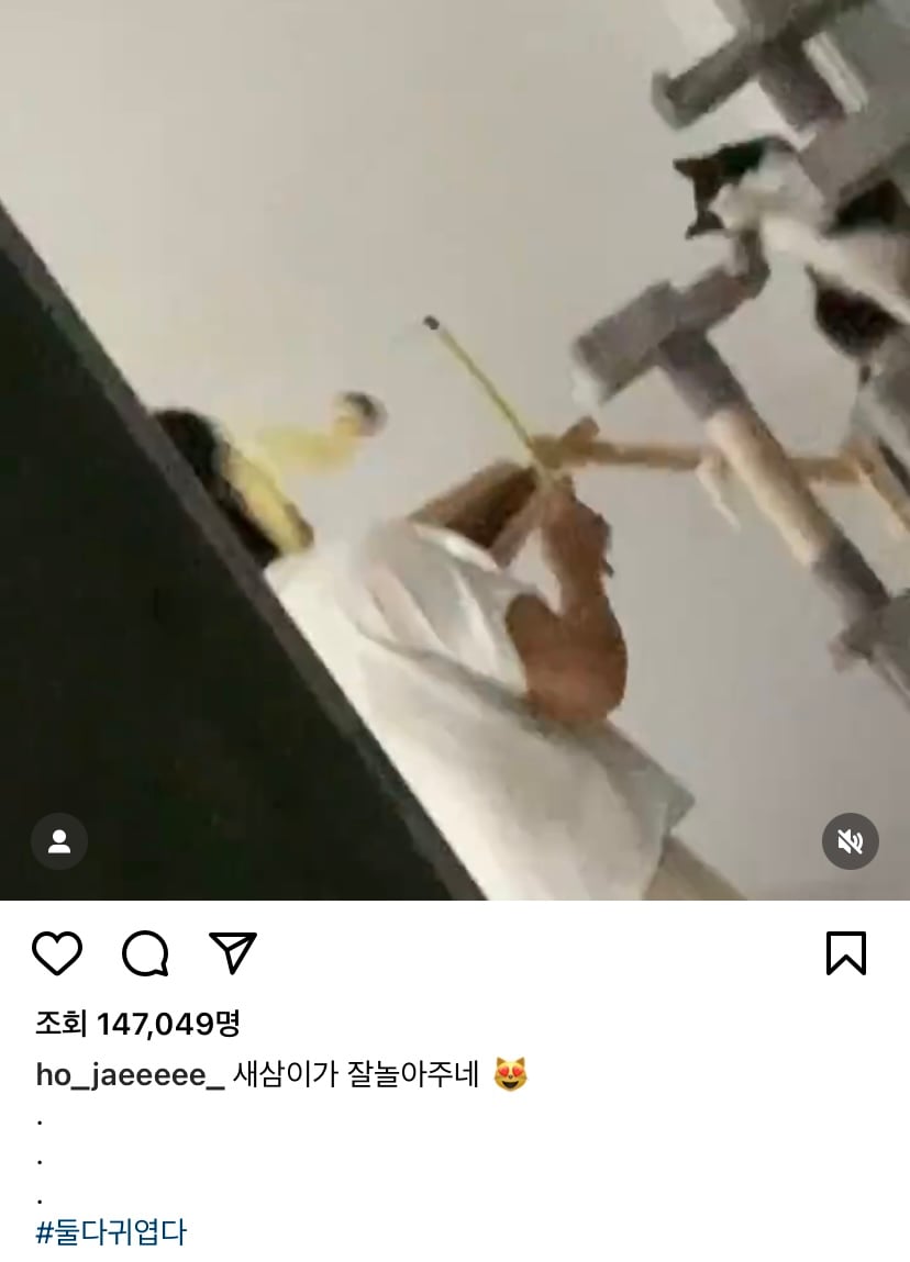 해쭈 남편 쁘보 인스타그램 모음 | 인스티즈