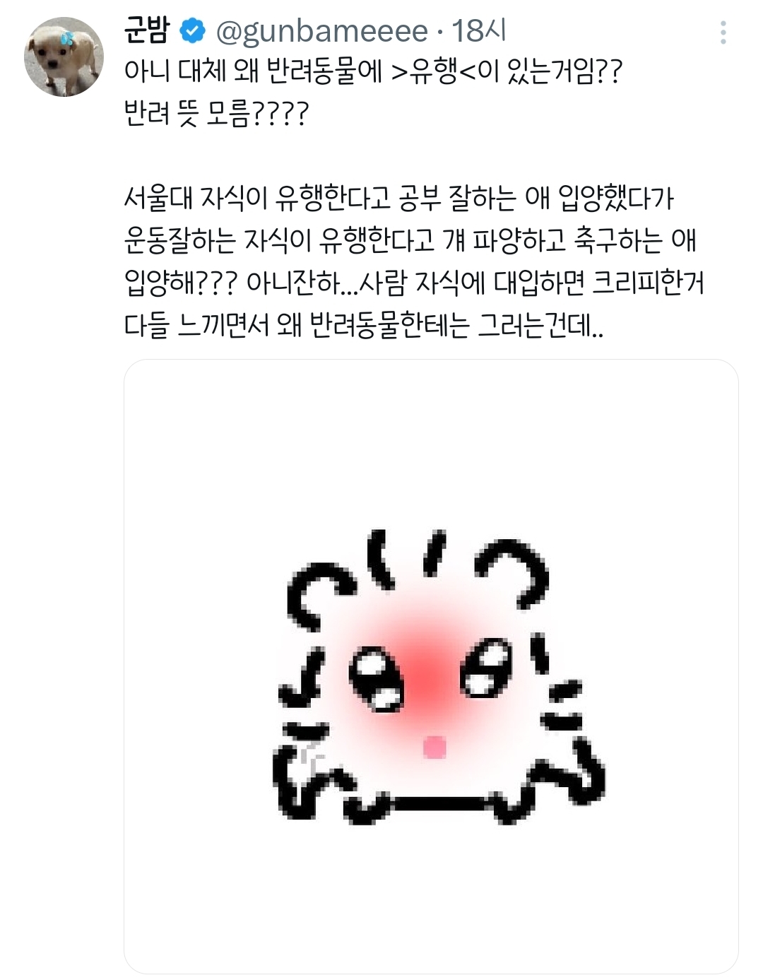 에휴 인간들 꼬동 버리기 시작했네;;.twt | 인스티즈