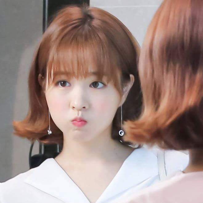 2월 12일 생일 연예인 중.... | 인스티즈