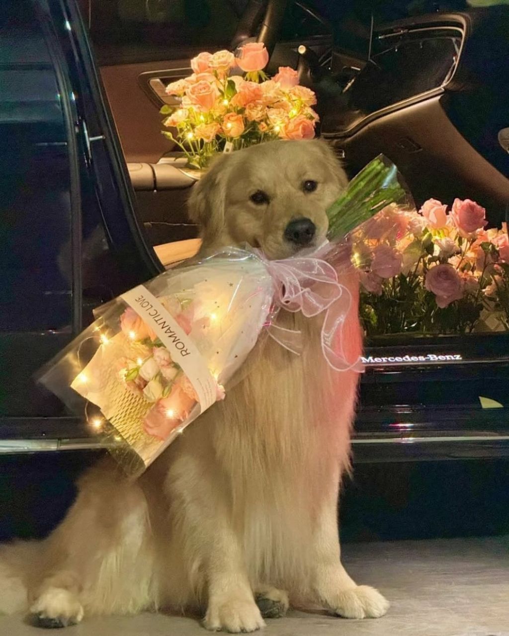 행복바이러스 골댕이 모음 | 인스티즈