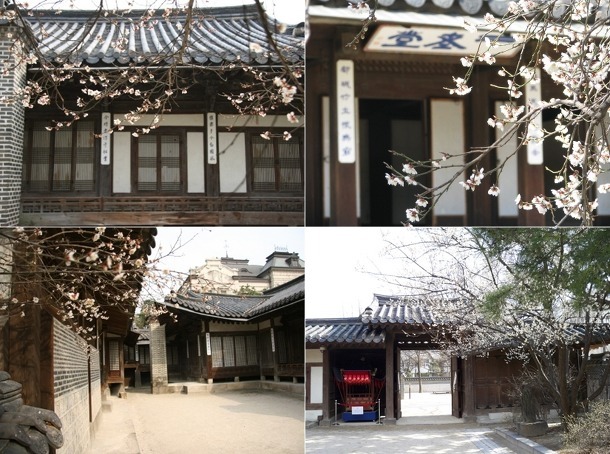 이우왕자 아들을 양자로 달라고 했던 사람.jpg | 인스티즈