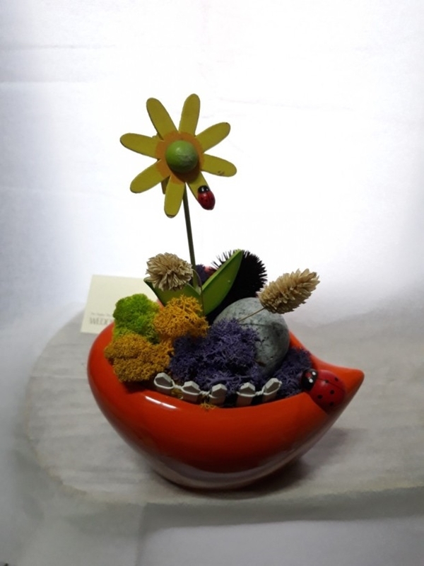 아니 누가 대체 이끼를 돈 주고 사서 인테리어 제품으로 씀?; | 인스티즈