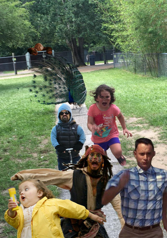 공작새가 무서워서 도망치는 아이 | 인스티즈