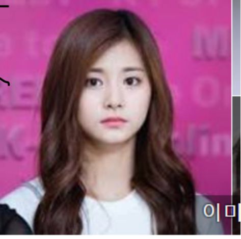 우왁굳이 쯔위 닮은 여친이 있다고 자신있게얘기한이유 | 인스티즈