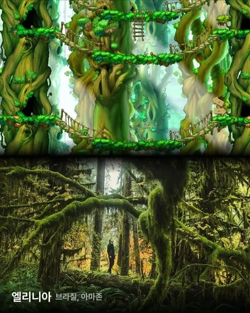 메이플스토리 실제 배경 | 인스티즈