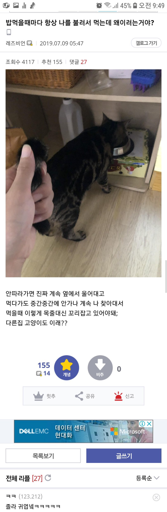 밥 먹을 때, 집사가 꼭 있어야하는 고양이 | 인스티즈