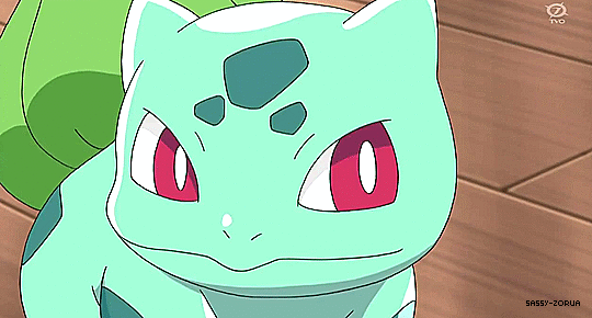 이상해씨 짤 대방출 | 인스티즈