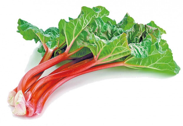 처음 보는 스타듀밸리 작물 실물모습 | 인스티즈