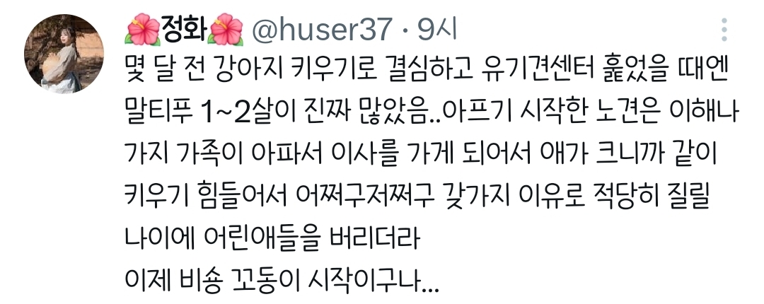 에휴 인간들 꼬동 버리기 시작했네;;.twt | 인스티즈