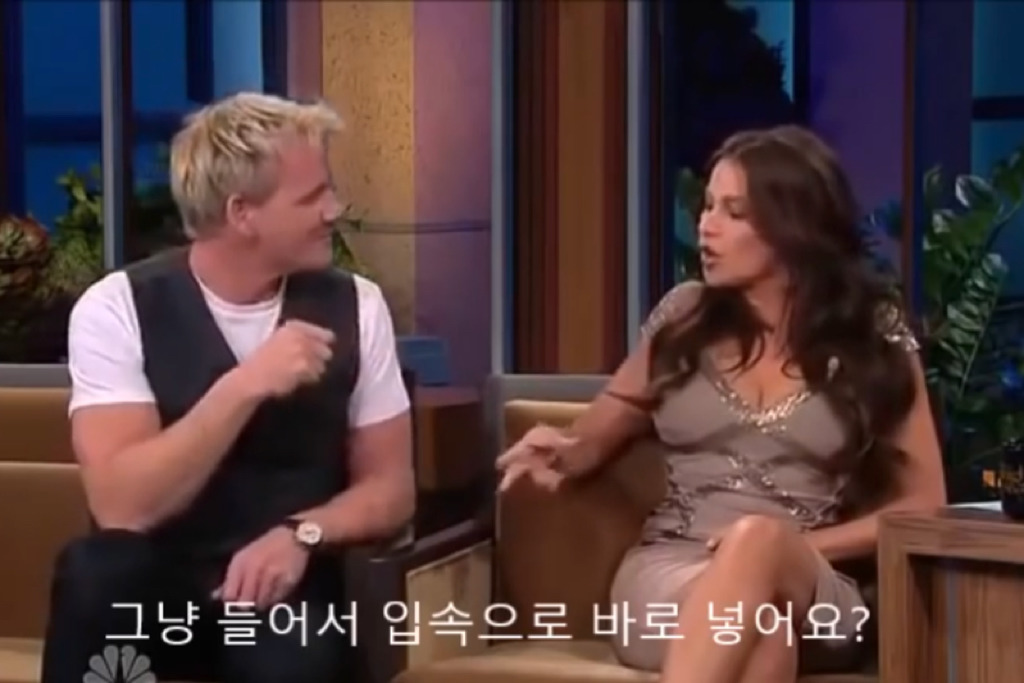고든램지가 소피아 베르가라한테 토크쇼에서 한 행동들 .jpg | 인스티즈