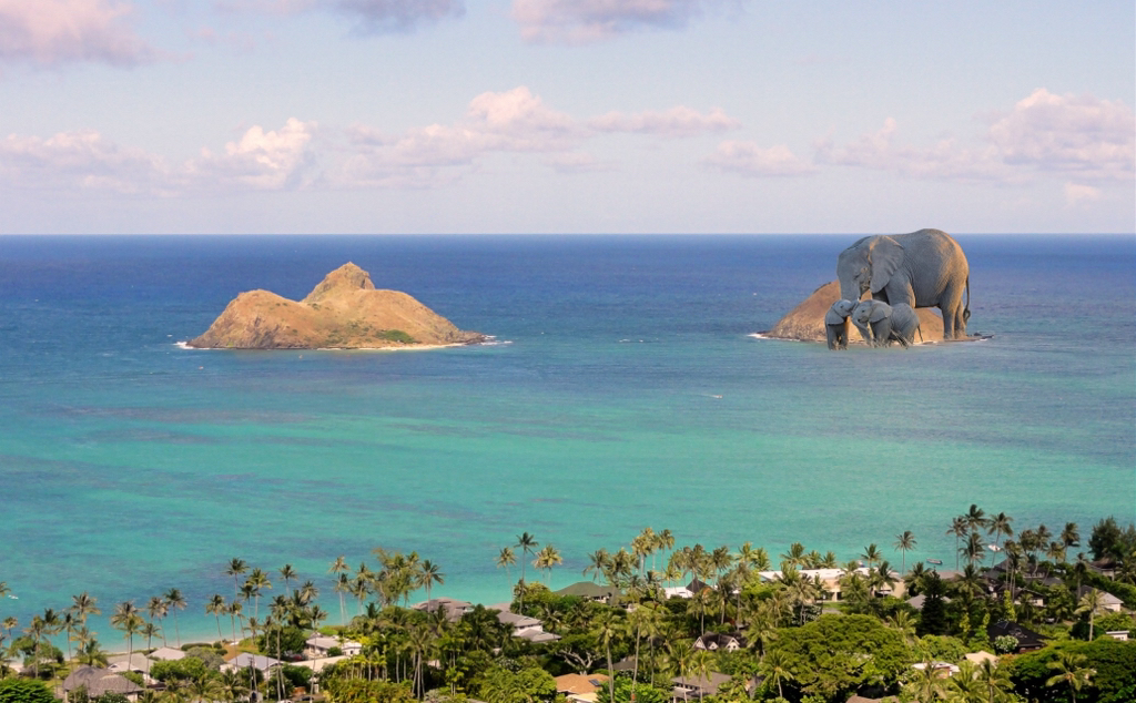 더 폴 감독 : 시나리오 작가 구함 연령제한만 4세~만 4세 반 만관부 | 인스티즈