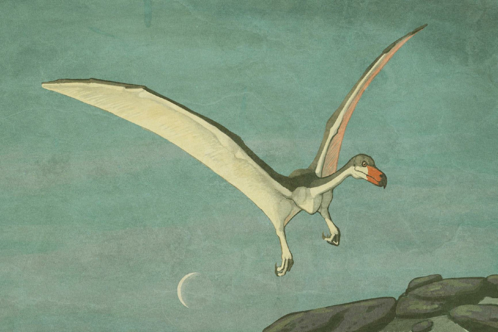 공룡은 실제로 어떻게 생겼을까? 공룡 복원도를 믿기 힘든 이유 | 인스티즈