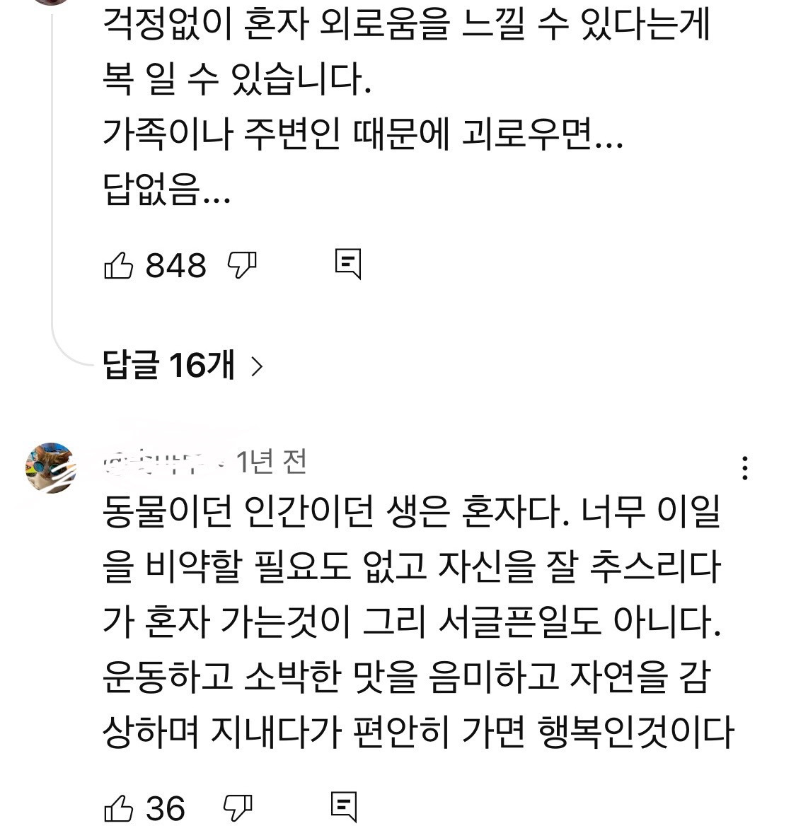 노년시대 다큐에 달린 혼자가 편하다는 댓글들 | 인스티즈