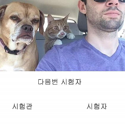 생각보다 스트레스 미친듯이 받는 것 | 인스티즈