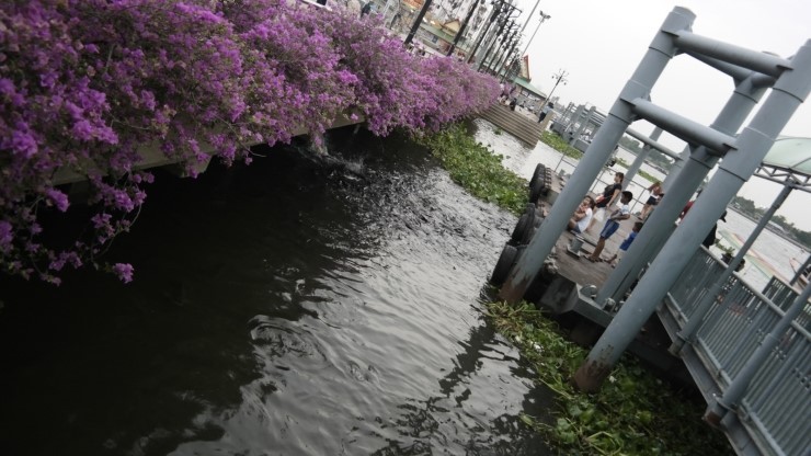 태국 방콕 여행2일차 2차일정태국인들의 삶을 엿볼수 있는 저렴한 현지투어 | 인스티즈