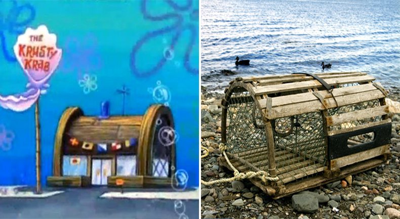 스폰지밥에 숨어 있는 쓸데없이 과학적인 설정 5가지 | 인스티즈