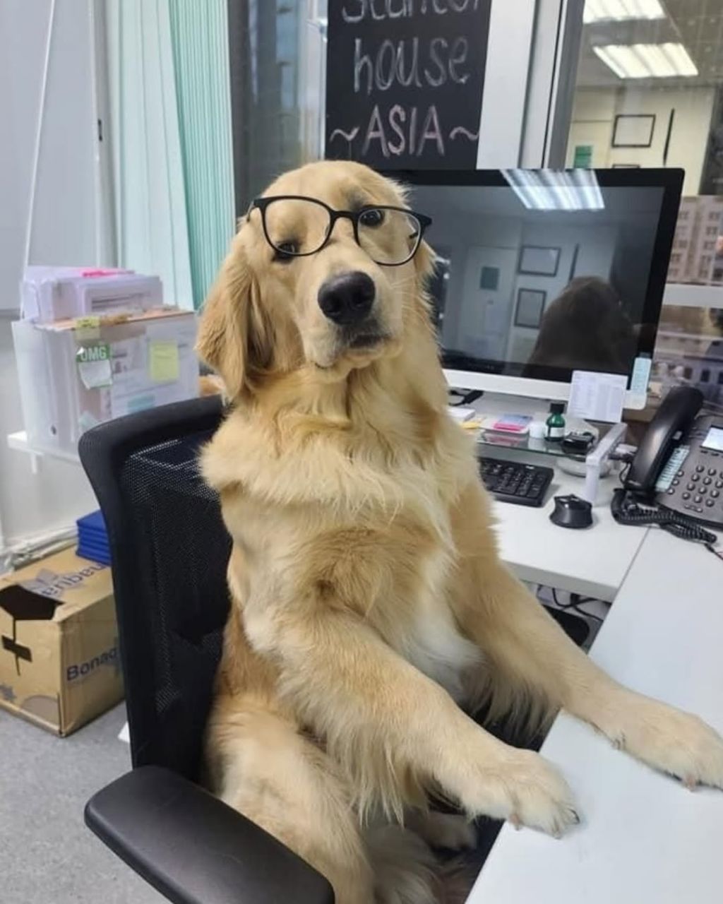 행복바이러스 골댕이 모음 | 인스티즈