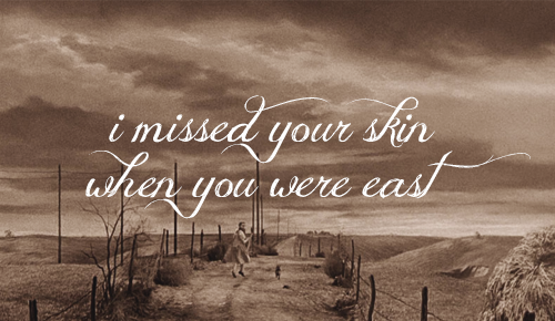 비슷하면서도 너무나 다른 두 이야기,게녀들의 취향은? | 인스티즈