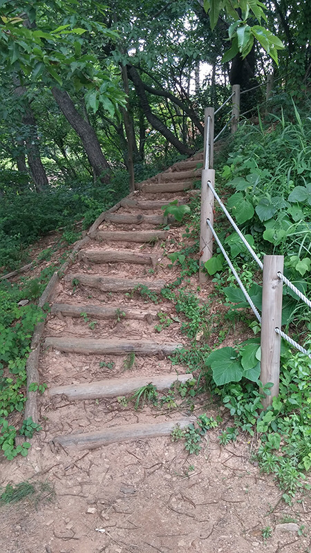 계단에서 발꼬이고 넘어질까봐 무서운 사람들 있나요? | 인스티즈