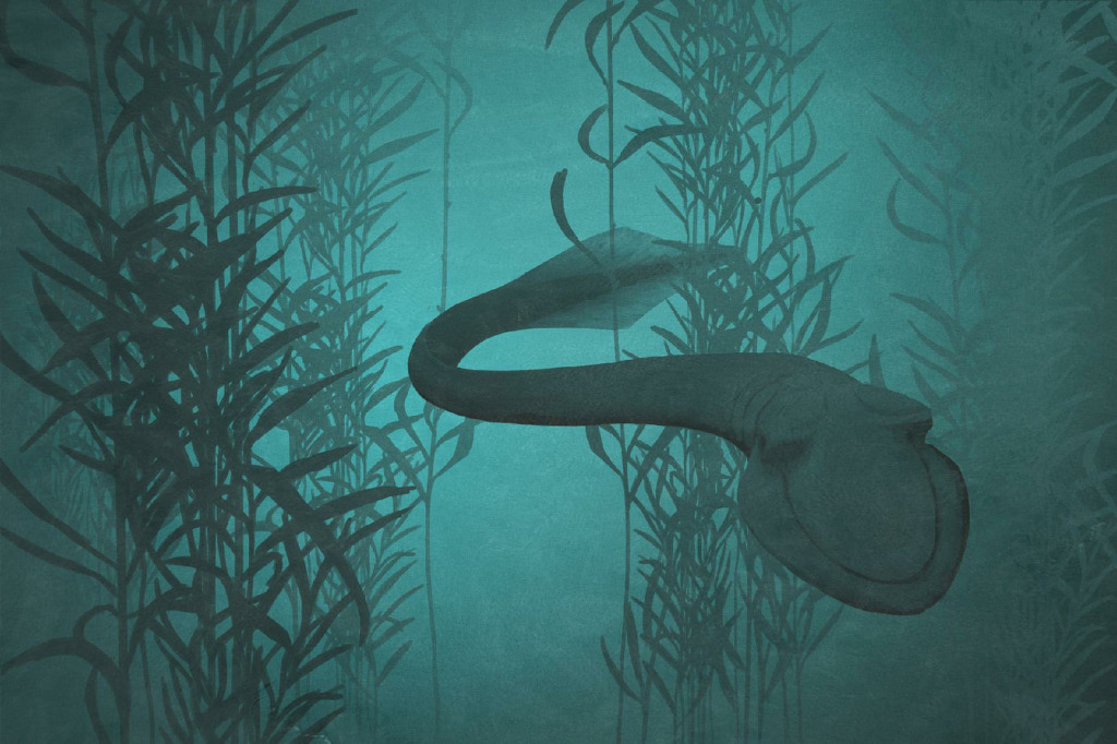 공룡은 실제로 어떻게 생겼을까? 공룡 복원도를 믿기 힘든 이유 | 인스티즈