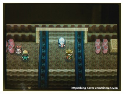 포켓몬아르세우스에 대해 알아보자! | 인스티즈