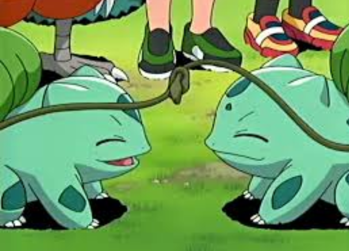 이상해씨 짤 대방출 | 인스티즈