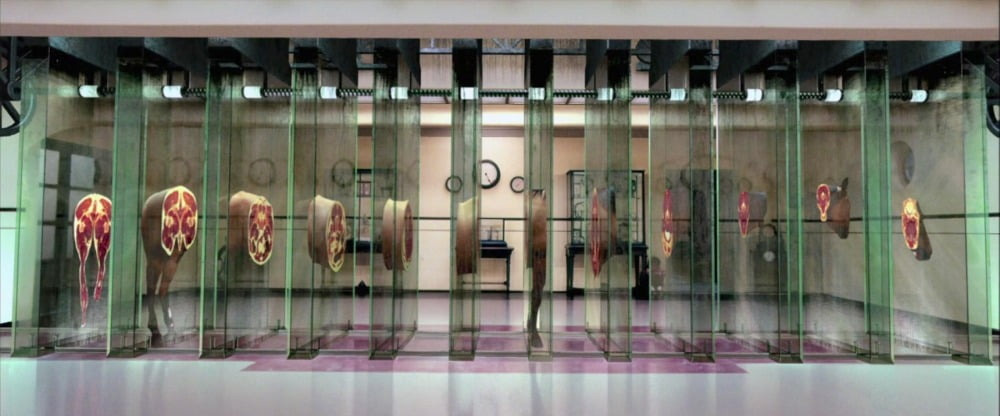 더 폴 감독 : 시나리오 작가 구함 연령제한만 4세~만 4세 반 만관부 | 인스티즈