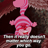 비슷하면서도 너무나 다른 두 이야기,게녀들의 취향은? | 인스티즈