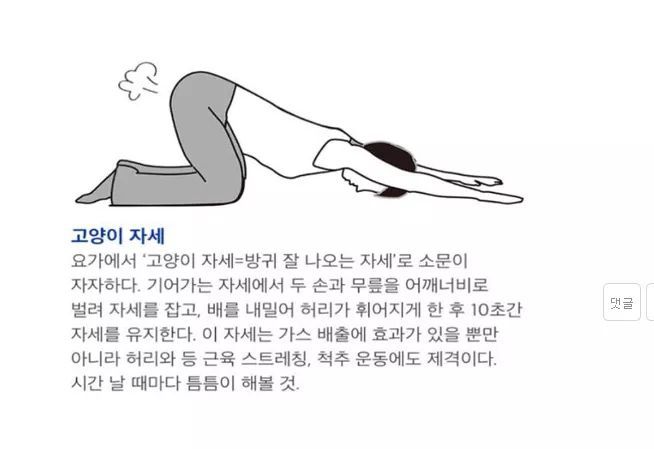 방귀배출자세 | 인스티즈