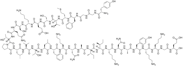 사람이 살면서 가장 행복할때는? | 인스티즈