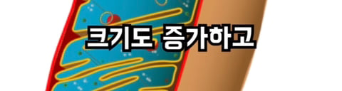 달리기 (러닝) 을 안하는게 손해인 이유 | 인스티즈