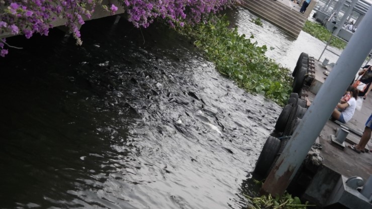 태국 방콕 여행2일차 2차일정태국인들의 삶을 엿볼수 있는 저렴한 현지투어 | 인스티즈