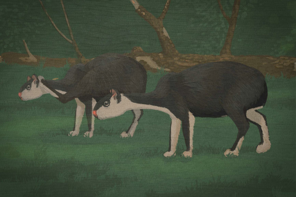 공룡은 실제로 어떻게 생겼을까? 공룡 복원도를 믿기 힘든 이유 | 인스티즈