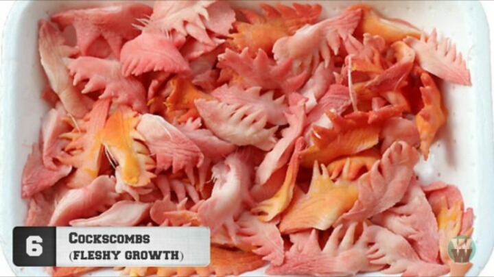 약혐)세계에서 가장 역겨운 음식 TOP 20.jpg | 인스티즈