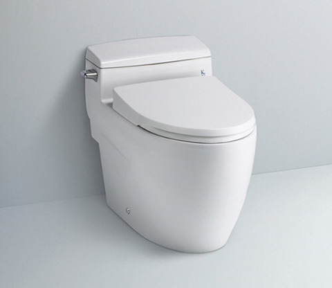 집보러 다닐때 피해야할 변기 | 인스티즈