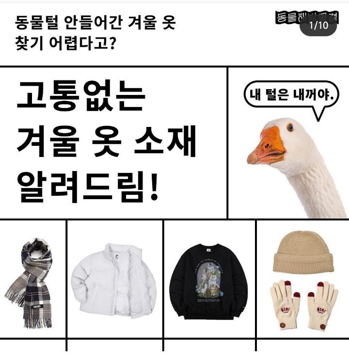 고통없는 겨울 옷 소재 알려드림!! | 인스티즈