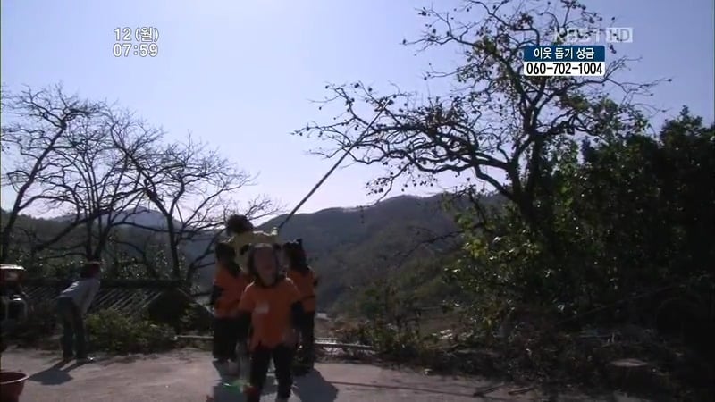 [인간극장] 우리 엄마는 할머니 1부 (감자 주의보 발령!!!) | 인스티즈