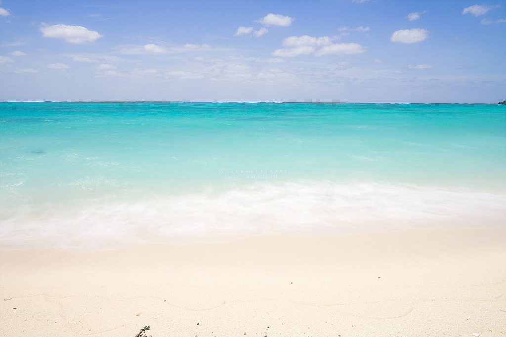 스냅사진 위주의 유치진지한 여행기 - 요론 섬&오키나와 (2) | 인스티즈