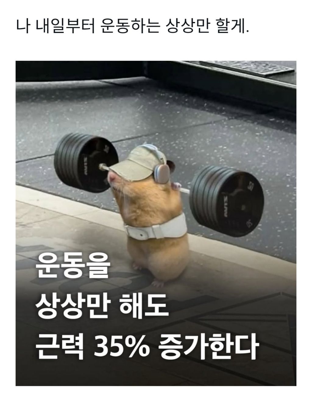 운동하는 상상만 해도 된대 | 인스티즈