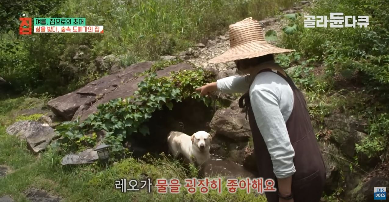 땅 1,500평 사서 혼자 집 짓고 살던 35살 여자, 20년 뒤 근황 | 인스티즈