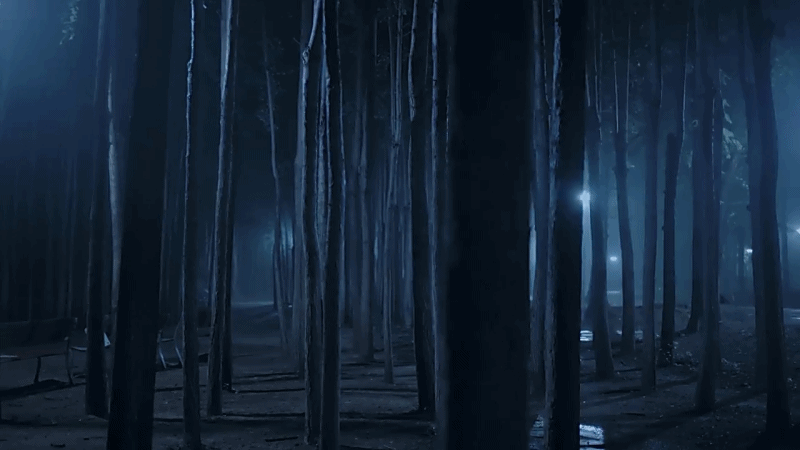 한 유튜버가 촬영하면서 정말 무서웠다는 새벽 2시 서울숲 풍경ㄷㄷ.gif | 인스티즈